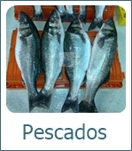 Comprar pescado gallego